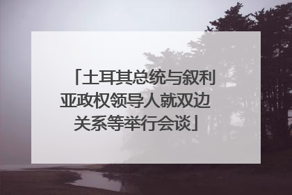 土耳其总统与叙利亚政权领导人就双边关系等举行会谈