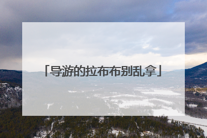 导游的拉布布别乱拿