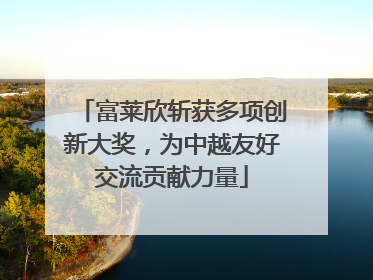 富莱欣斩获多项创新大奖，为中越友好交流贡献力量