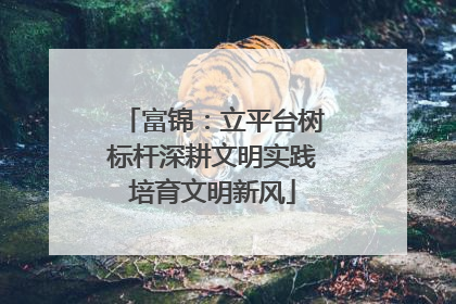 富锦：立平台树标杆深耕文明实践培育文明新风
