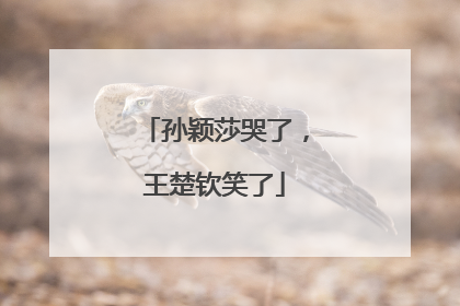 孙颖莎哭了，王楚钦笑了