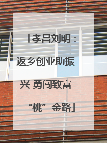 孝昌刘明：返乡创业助振兴 勇闯致富“桃”金路