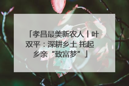 孝昌最美新农人丨叶双平：深耕乡土 托起乡亲“致富梦”