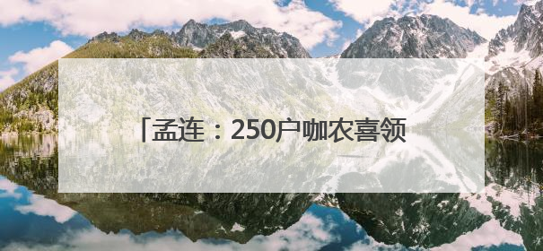 孟连：250户咖农喜领1605万元咖啡鲜果款