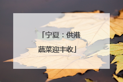 宁夏：供港蔬菜迎丰收