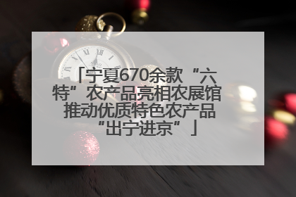 宁夏670余款“六特”农产品亮相农展馆 推动优质特色农产品“出宁进京”