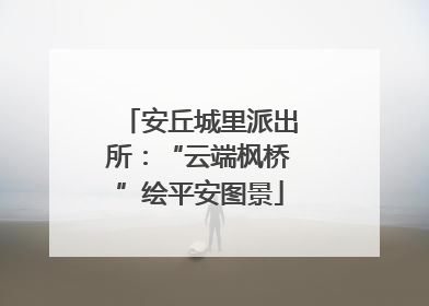 安丘城里派出所：“云端枫桥”绘平安图景