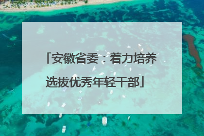安徽省委：着力培养选拔优秀年轻干部