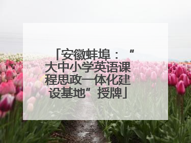 安徽蚌埠：“大中小学英语课程思政一体化建设基地”授牌