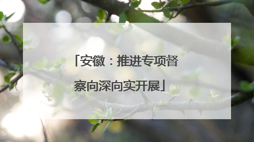 安徽：推进专项督察向深向实开展