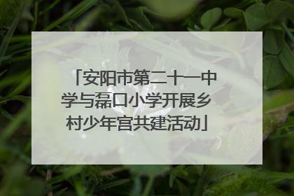 安阳市第二十一中学与磊口小学开展乡村少年宫共建活动