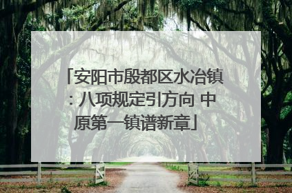 安阳市殷都区水冶镇：八项规定引方向 中原第一镇谱新章