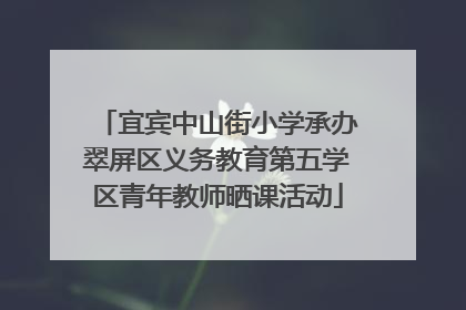 宜宾中山街小学承办翠屏区义务教育第五学区青年教师晒课活动
