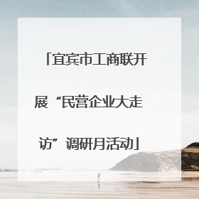 宜宾市工商联开展“民营企业大走访”调研月活动