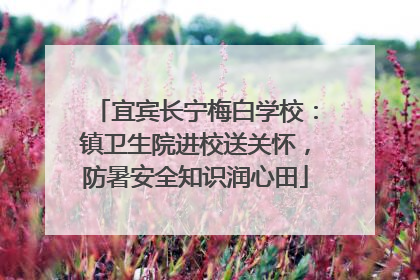 宜宾长宁梅白学校：镇卫生院进校送关怀，防暑安全知识润心田