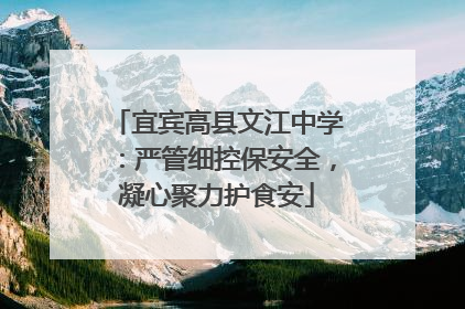宜宾高县文江中学：严管细控保安全，凝心聚力护食安