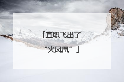 宜职飞出了“火凤凰”