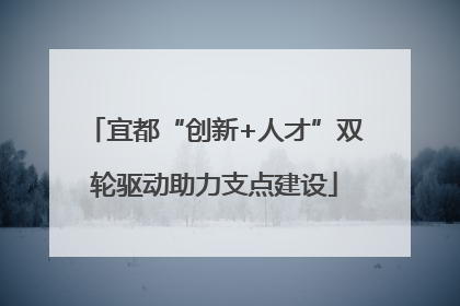 宜都“创新+人才”双轮驱动助力支点建设
