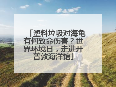 塑料垃圾对海龟有何致命伤害？世界环境日，走进开普敦海洋馆