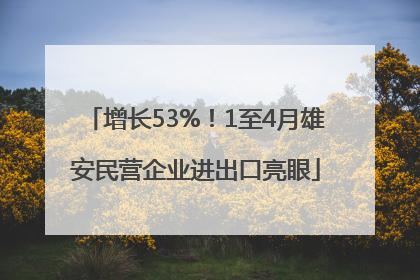 增长53%！1至4月雄安民营企业进出口亮眼