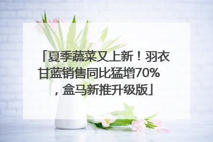 夏季蔬菜又上新！羽衣甘蓝销售同比猛增70%，盒马新推升级版