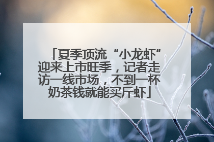 夏季顶流“小龙虾”迎来上市旺季，记者走访一线市场，不到一杯奶茶钱就能买斤虾