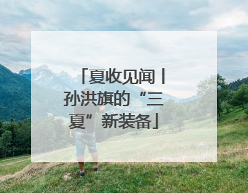 夏收见闻丨孙洪旗的“三夏”新装备