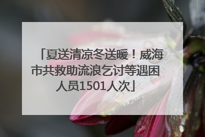 夏送清凉冬送暖！威海市共救助流浪乞讨等遇困人员1501人次