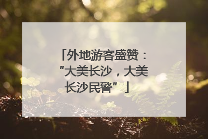 外地游客盛赞：“大美长沙，大美长沙民警”