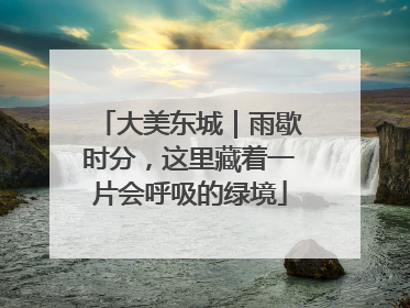 大美东城｜雨歇时分，这里藏着一片会呼吸的绿境
