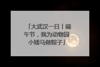 大武汉一日丨端午节，我为动物园小矮马做粽子