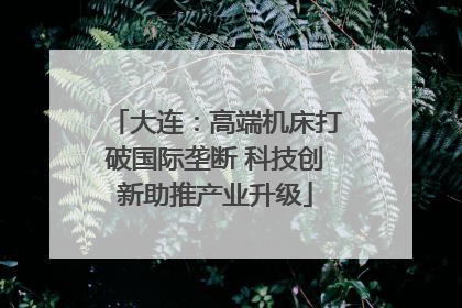 大连：高端机床打破国际垄断 科技创新助推产业升级