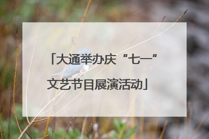 大通举办庆“七一”文艺节目展演活动