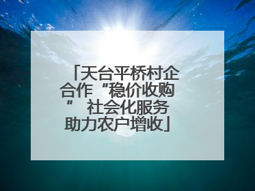 天台平桥村企合作“稳价收购” 社会化服务助力农户增收