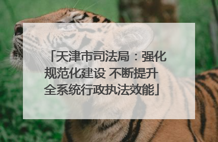 天津市司法局：强化规范化建设 不断提升全系统行政执法效能