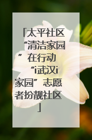 太平社区“清洁家园”在行动 “i武汉i家园”志愿者扮靓社区