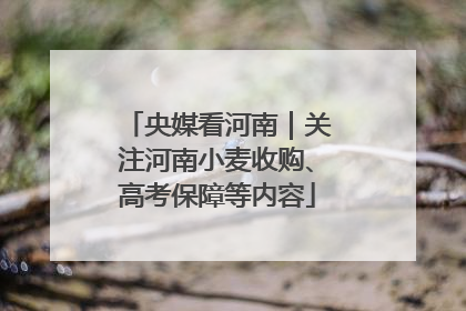 央媒看河南｜关注河南小麦收购、高考保障等内容