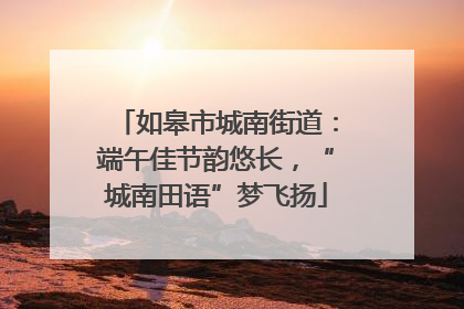 如皋市城南街道：端午佳节韵悠长，“城南田语”梦飞扬