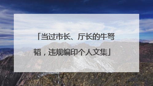 当过市长、厅长的牛弩韬，违规编印个人文集