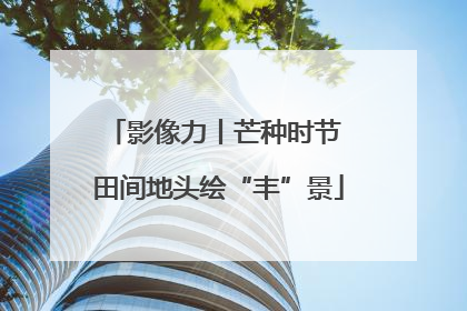 影像力丨芒种时节 田间地头绘“丰”景