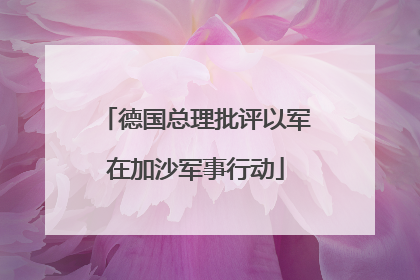 德国总理批评以军在加沙军事行动