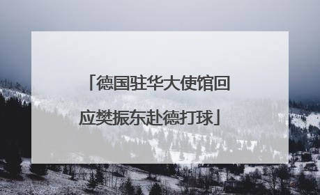 德国驻华大使馆回应樊振东赴德打球