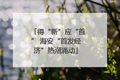 得“新”应“首” 海安“首发经济”热潮涌动