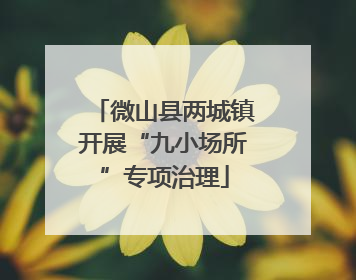 微山县两城镇开展“九小场所”专项治理