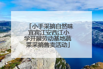 小手采摘自然味 宜宾江安西江小学开展劳动基地蔬菜采摘售卖活动