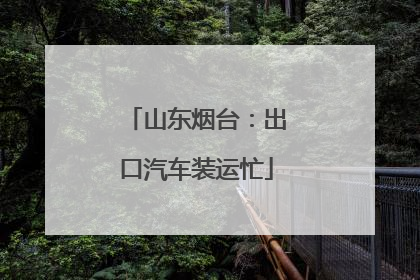 山东烟台：出口汽车装运忙