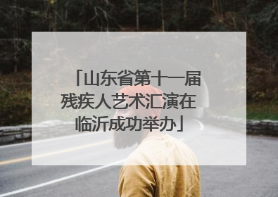 山东省第十一届残疾人艺术汇演在临沂成功举办