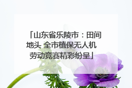 山东省乐陵市：田间地头 全市植保无人机劳动竞赛精彩纷呈