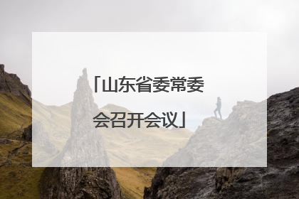 山东省委常委会召开会议