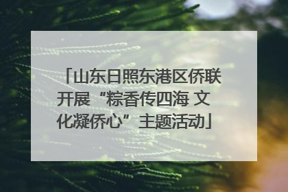 山东日照东港区侨联开展“粽香传四海 文化凝侨心”主题活动